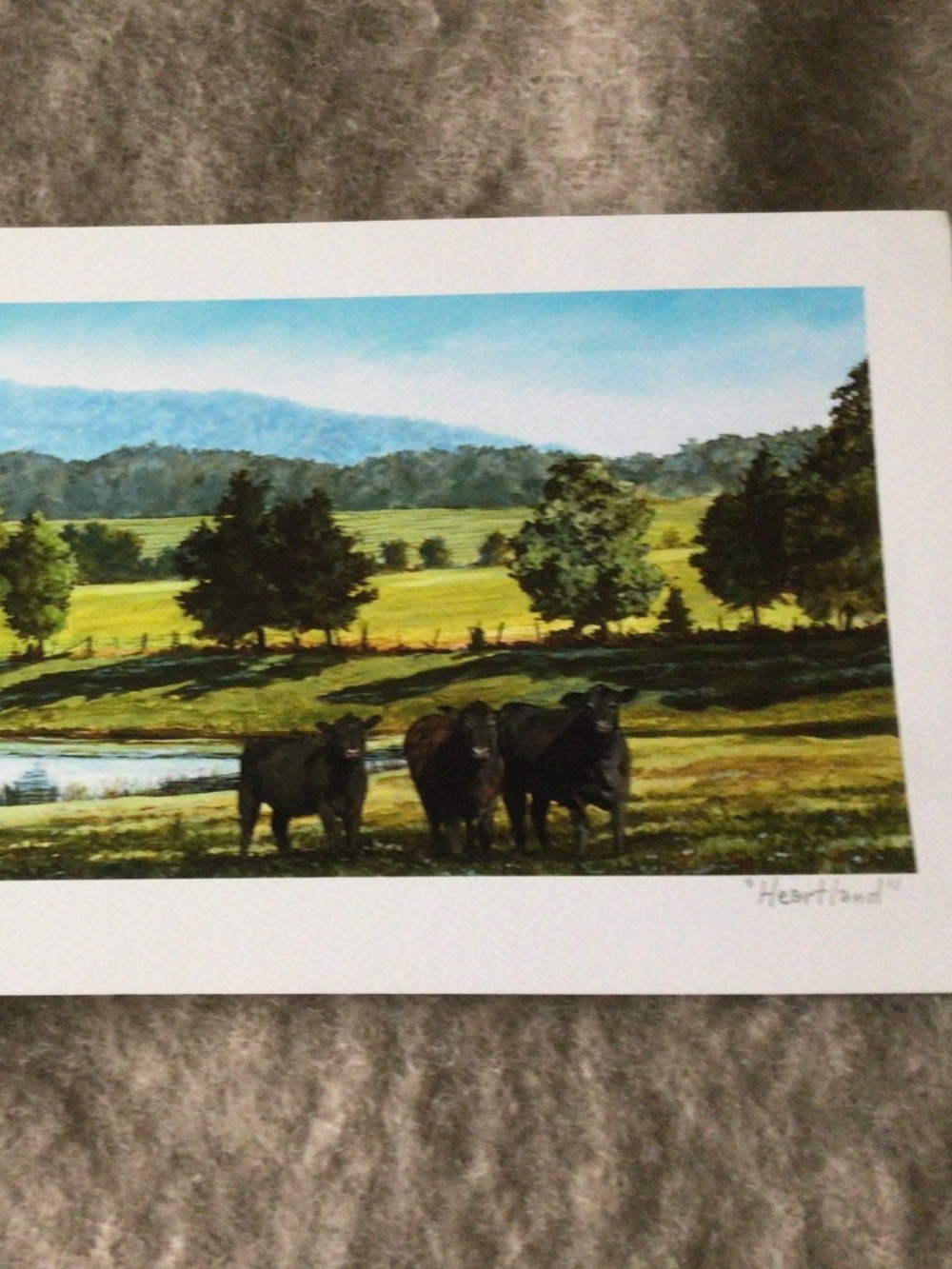 "Heartland" picture